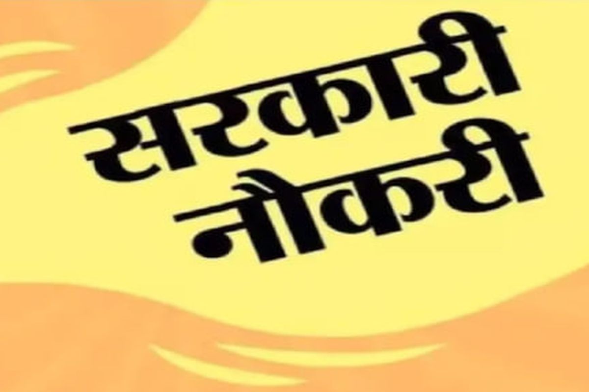 Government Job