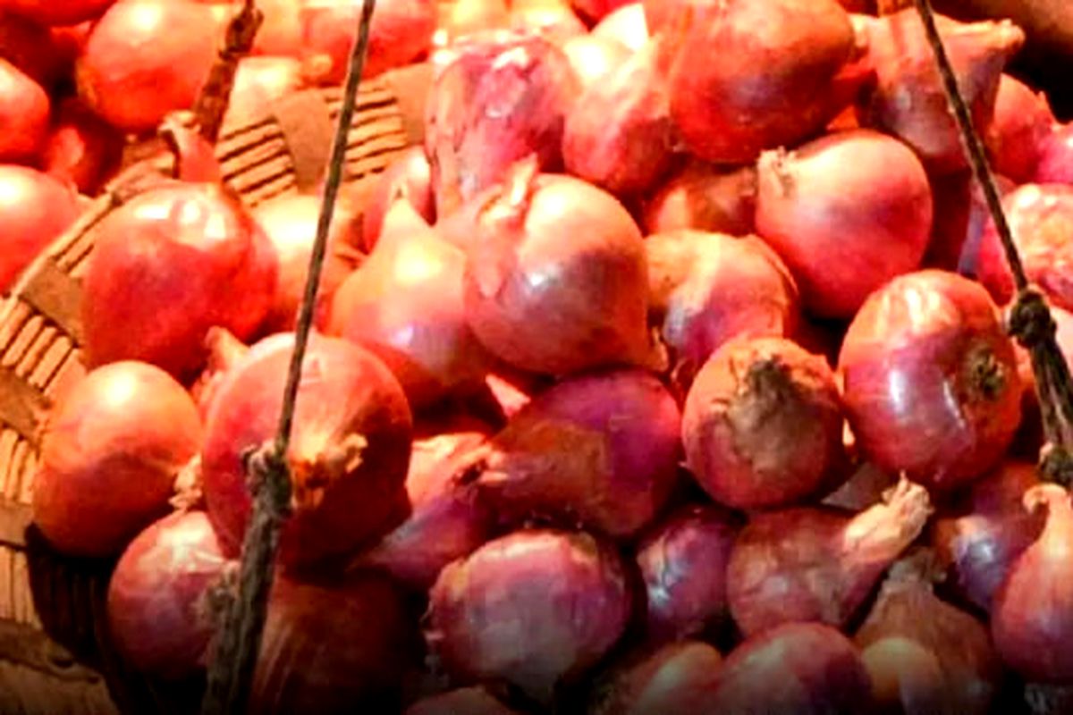 Onion Price
