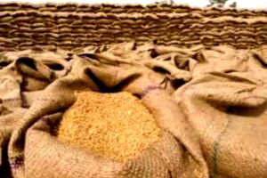 wheat storage limit