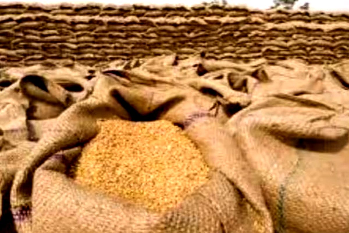 wheat storage limit